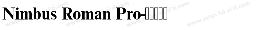 Nimbus Roman Pro字体转换